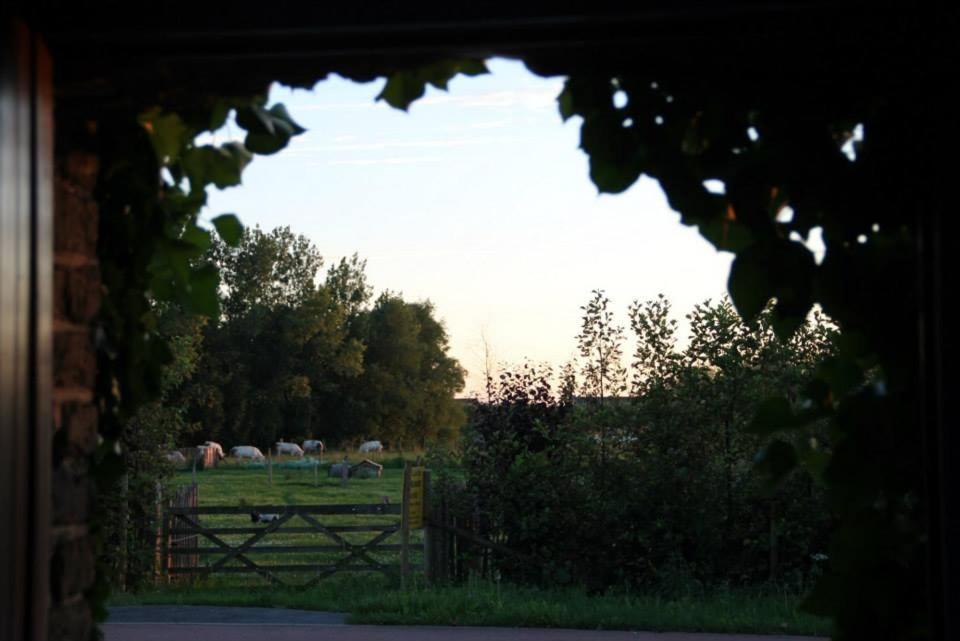 Polder 27 Villa Oudenburg Exteriör bild